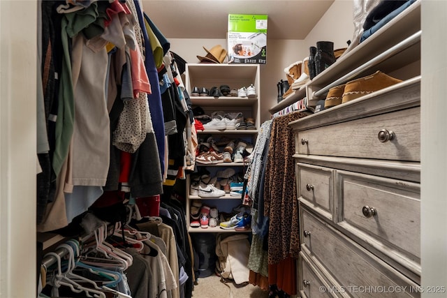 walk in closet featuring carpet flooring