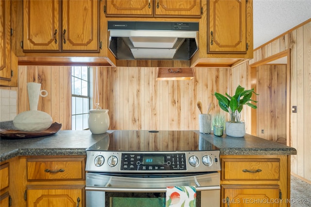 14531 S 107th W Ave, Sapulpa, OK 74066 - kitchen featuring wooden walls, brown cabinetry, stainless steel range with electric cooktop, and under cabinet range hood