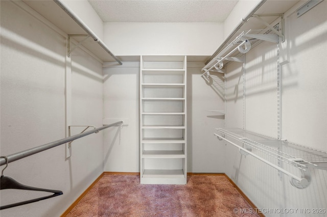 14531 S 107th W Ave, Sapulpa, OK 74066 - spacious closet with light carpet