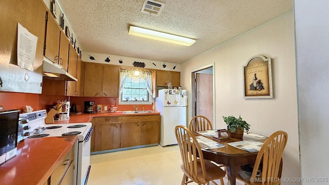 84936 S 4612th Rd, Stilwell, OK 74960 - kitchen with white appliances, under cabinet range hood, a sink, brown cabinetry, and a textured ceiling