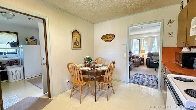 84936 S 4612th Rd, Stilwell, OK 74960 - dining space featuring crown molding, light flooring, and a textured ceiling
