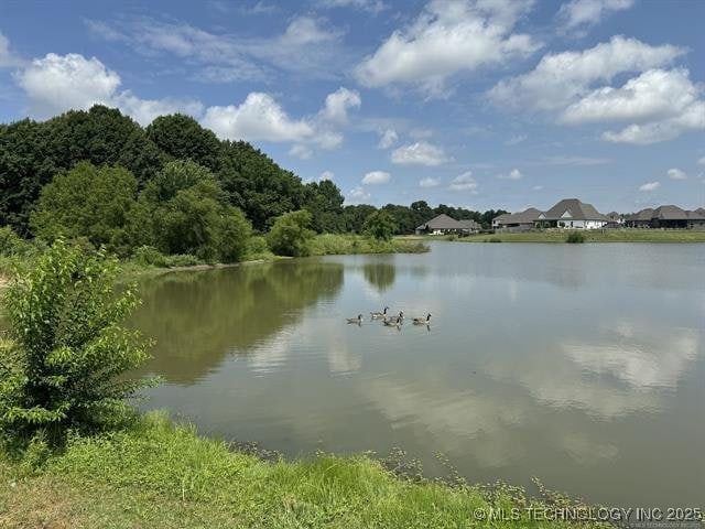 2916 S 8th St, Broken Arrow, OK 74012 - water view