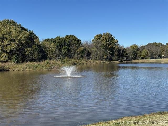 2916 S 8th St, Broken Arrow, OK 74012 - water view featuring a forest