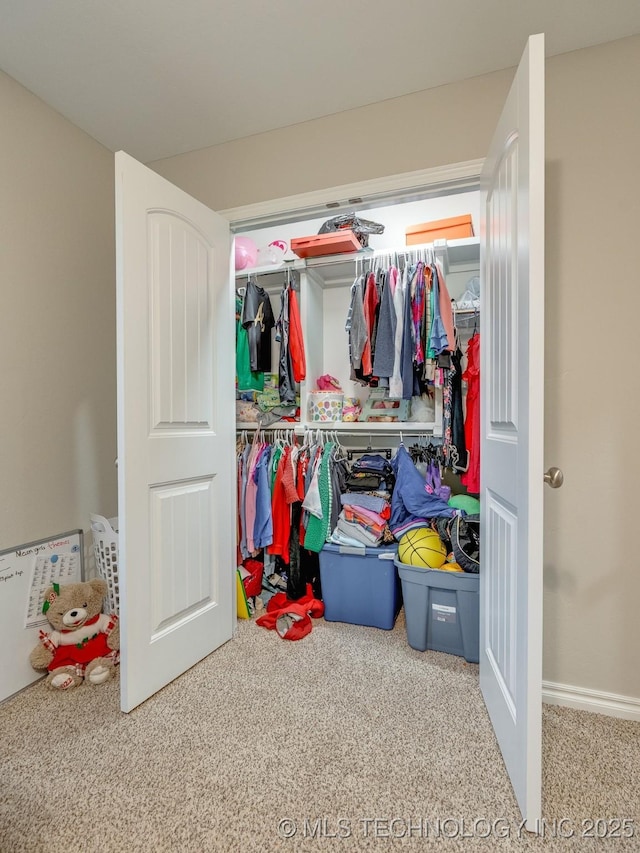 view of closet