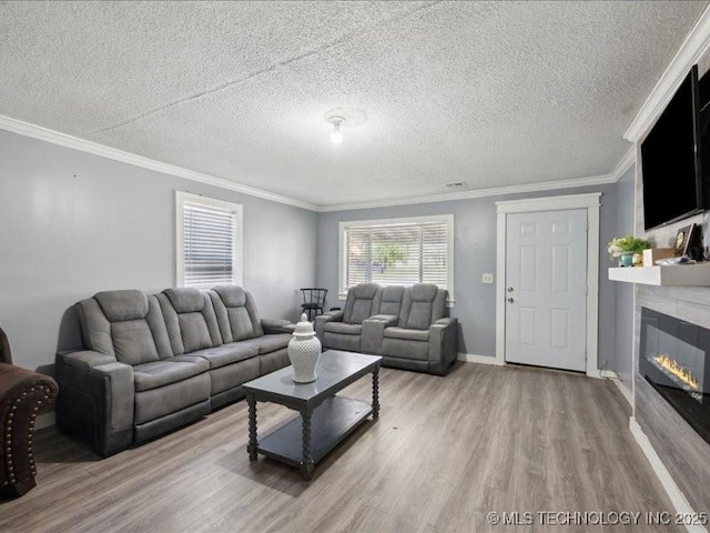 living room with a glass covered fireplace, light wood-type flooring, and ornamental molding