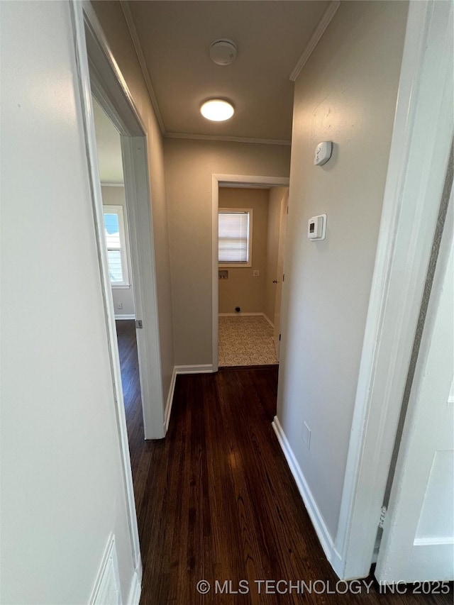 319 S Main St, Owasso, OK 74055 - corridor with ornamental molding, baseboards, and dark wood-style floors