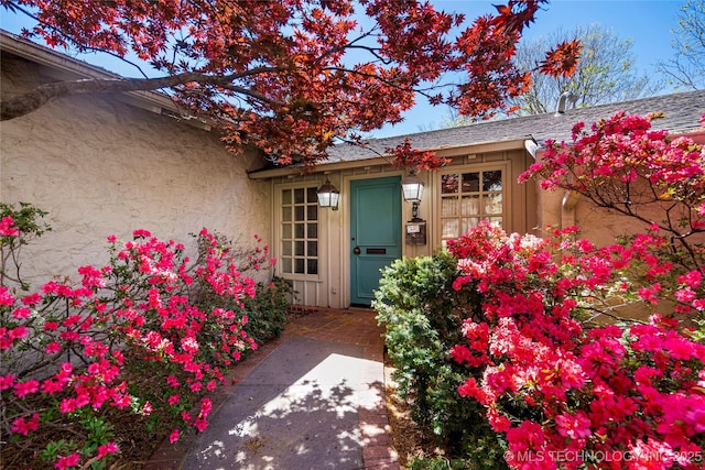 entrance to property with a shingled roof and stucco siding