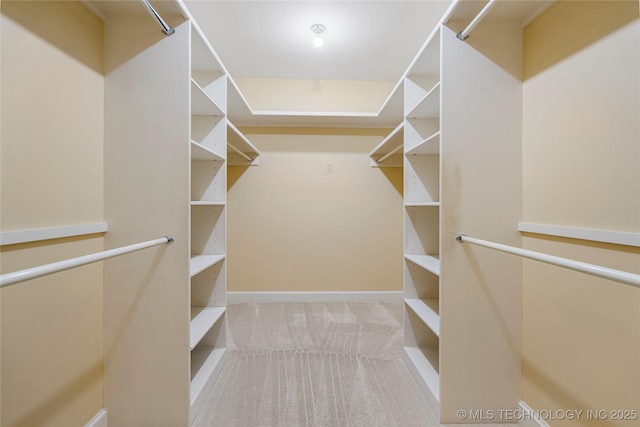 walk in closet with carpet