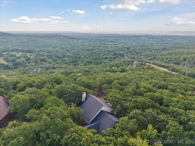 2913 N Wild Mountain Rd, Tulsa, OK 74127 - photo 4
