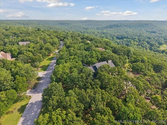 2913 N Wild Mountain Rd, Tulsa, OK 74127 - photo 51