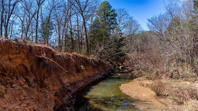view of local wilderness