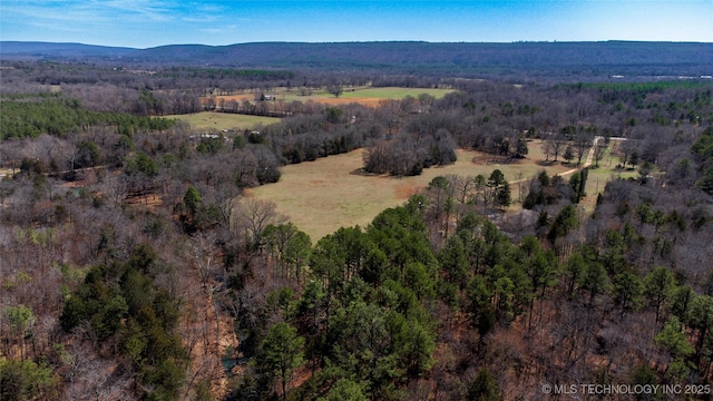 bird's eye view with a view of trees