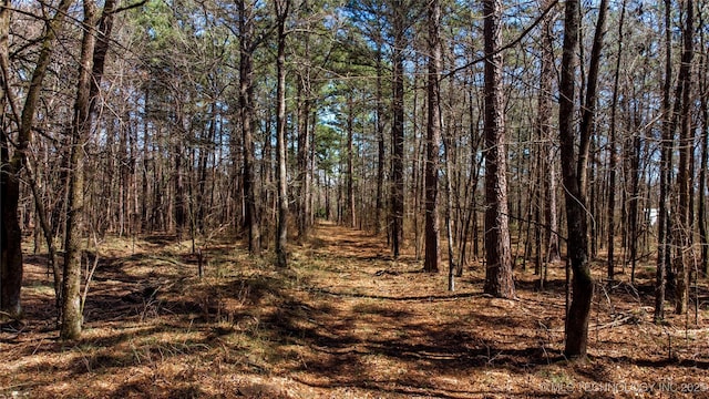 view of nature with a wooded view