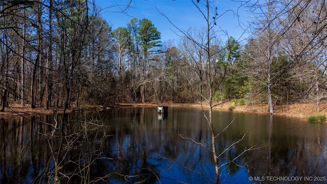 water view with a forest view