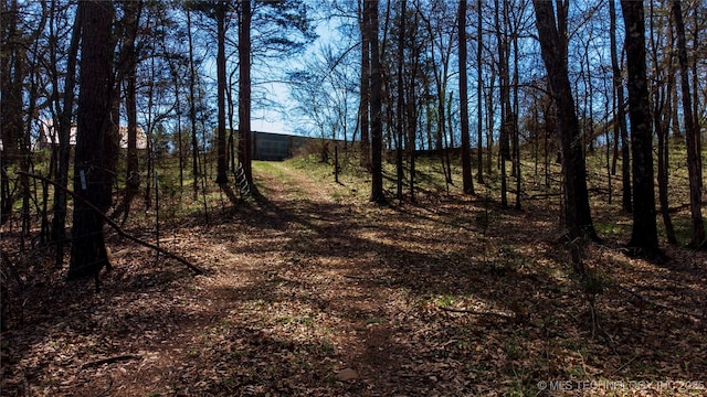 view of landscape