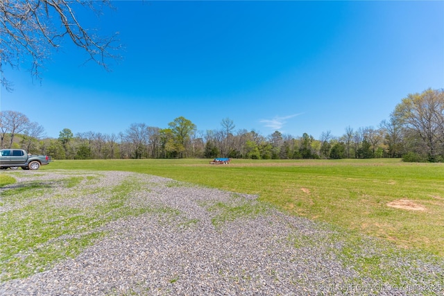 view of yard featuring a forest view