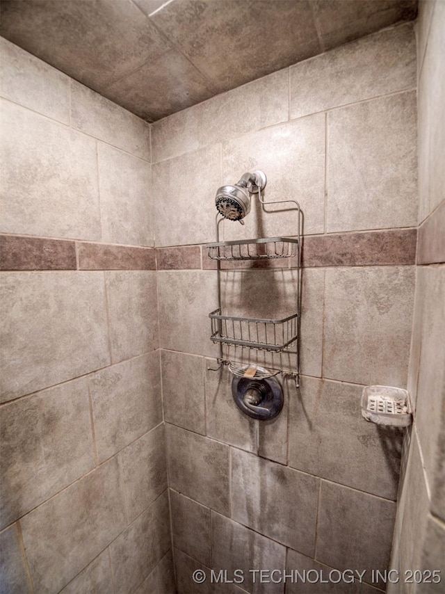 22526 N 2860th Rd, Kingfisher, OK 73750 - room details featuring tiled shower