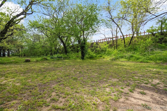view of yard