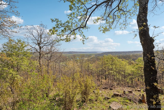 14484 Valley View Dr, Skiatook, OK 74070 - view of mountain background with a heavily wooded area
