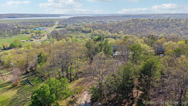 drone / aerial view with a forest view