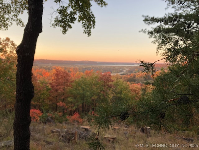 view of nature