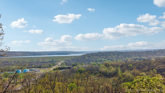 14484 Valley View Dr, Skiatook, OK 74070 - view of mountain backdrop featuring a heavily wooded area