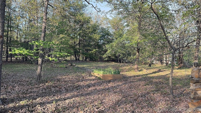 14484 Valley View Dr, Skiatook, OK 74070 - view of yard