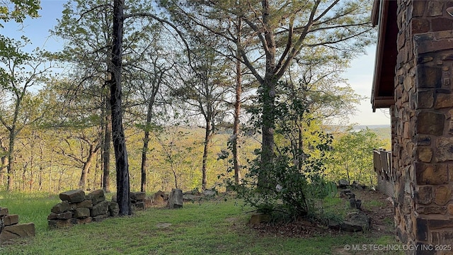 14484 Valley View Dr, Skiatook, OK 74070 - view of grassy yard