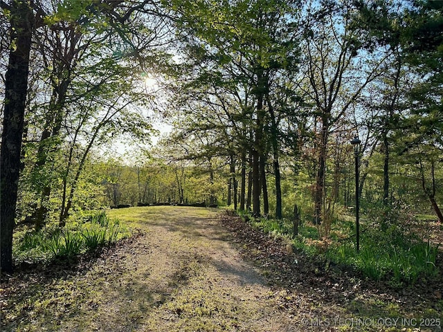 14484 Valley View Dr, Skiatook, OK 74070 - view of street featuring a wooded view and street lighting