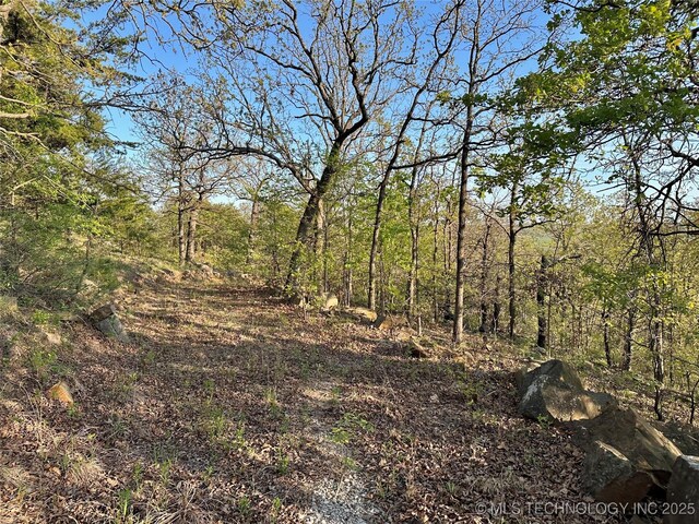 view of landscape with a wooded view