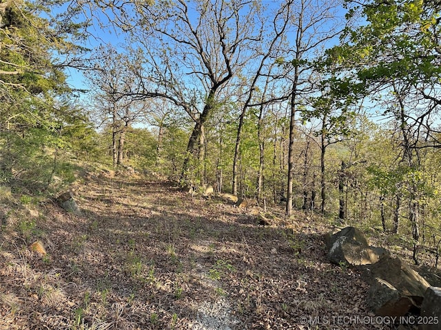 14484 Valley View Dr, Skiatook, OK 74070 - view of woods