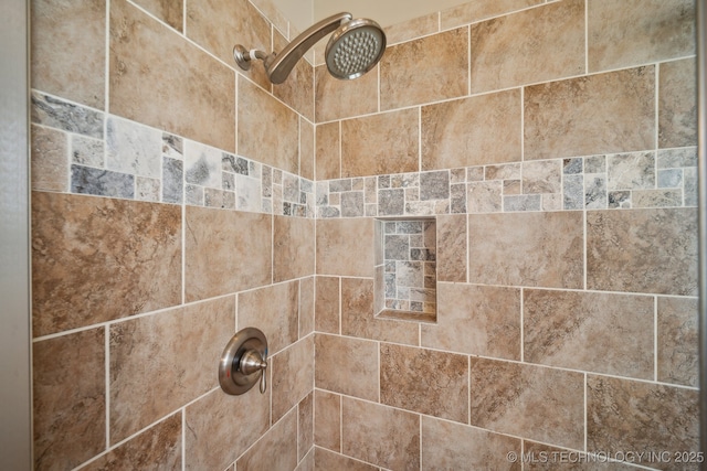 room details featuring tiled shower