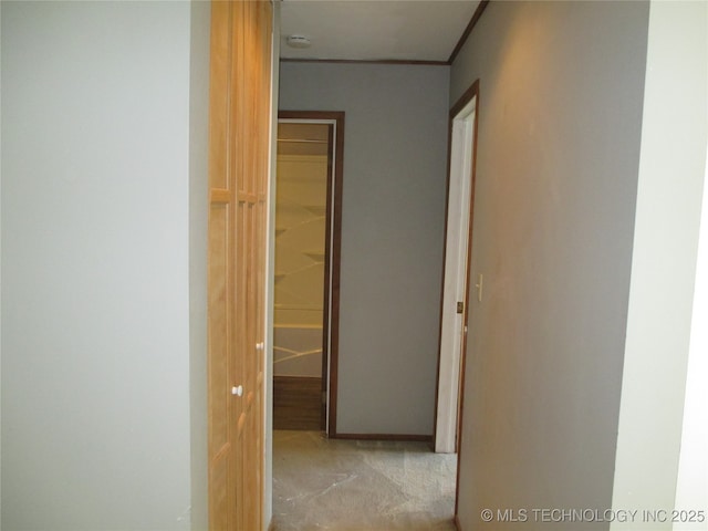 corridor with carpet floors