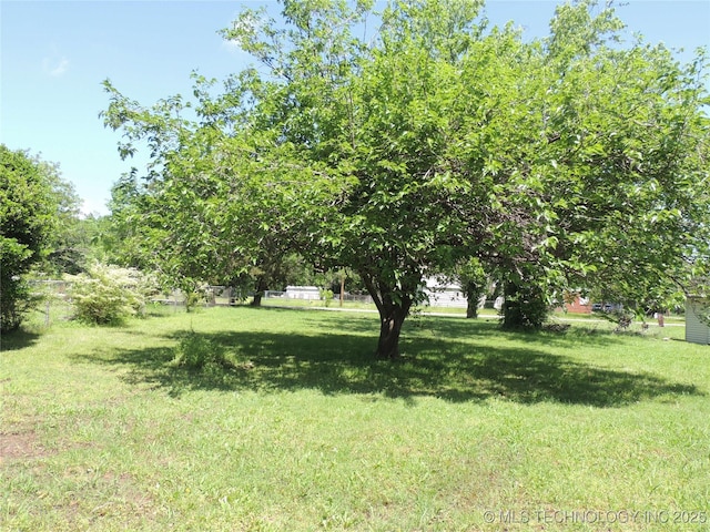 906 S 85th E Ave, Tulsa, OK 74112 - view of yard