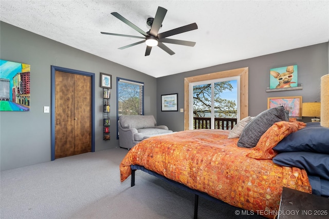 449774 E 356th Rd, Afton, OK 74331 - carpeted bedroom featuring a ceiling fan, multiple windows, and access to exterior
