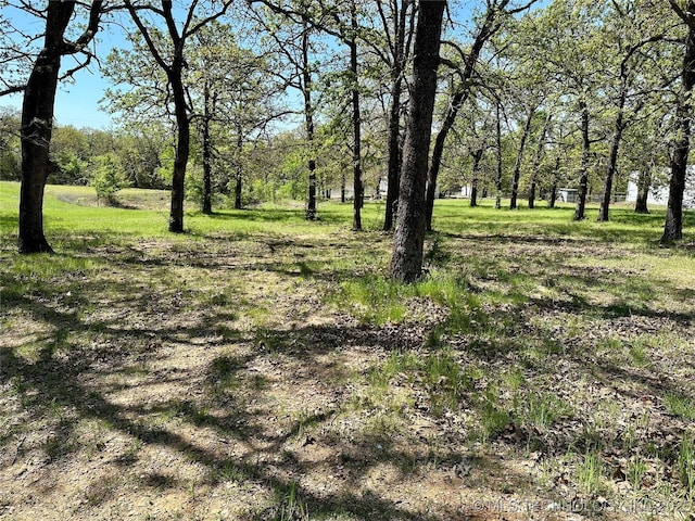 4665 Primrose, Sulphur, OK 73086 - view of yard