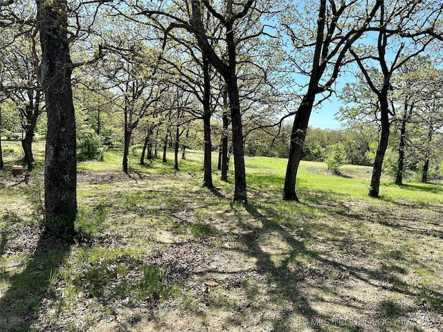 4665 Primrose, Sulphur, OK 73086 - view of nature