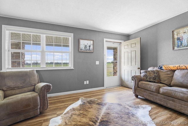 9720 S 4475th Rd, Miami, OK 74354 - living room featuring wood finished floors, a textured wall, and baseboards