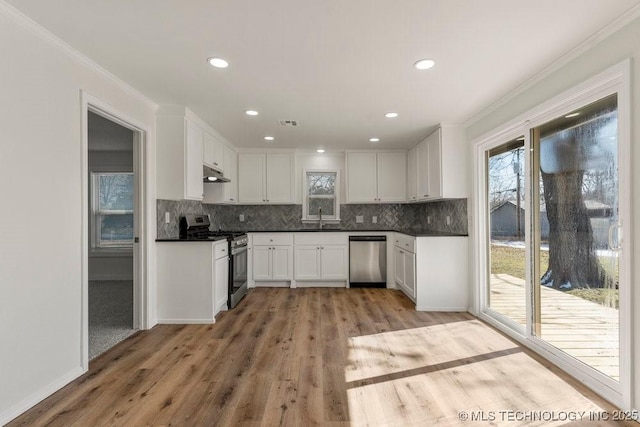kitchen with plenty of natural light, light wood finished floors, ornamental molding, and appliances with stainless steel finishes
