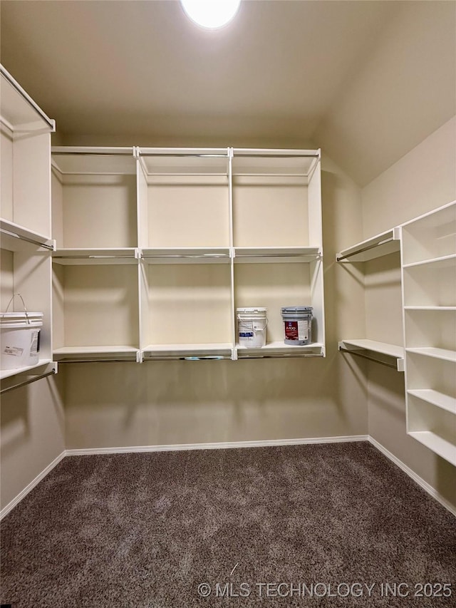 walk in closet with carpet and vaulted ceiling