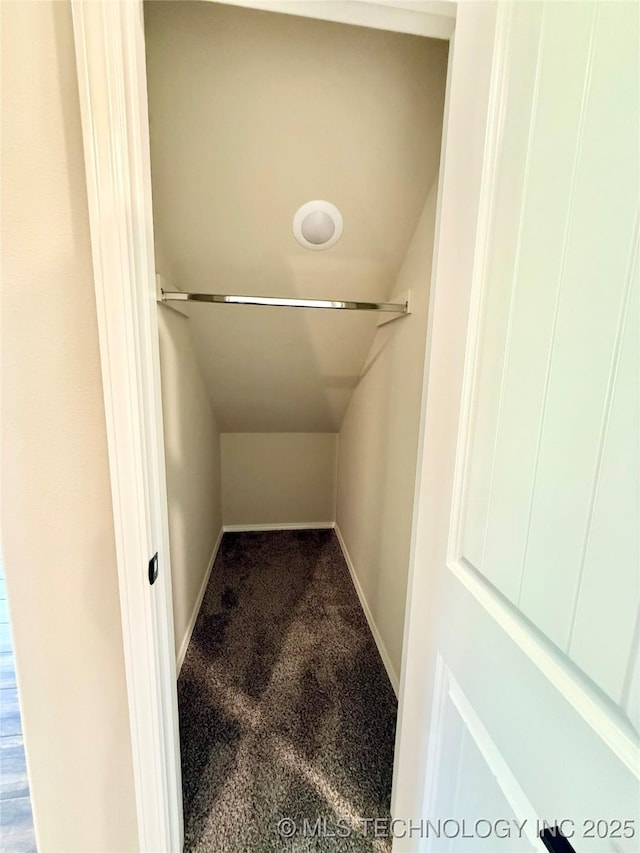 walk in closet with vaulted ceiling and carpet