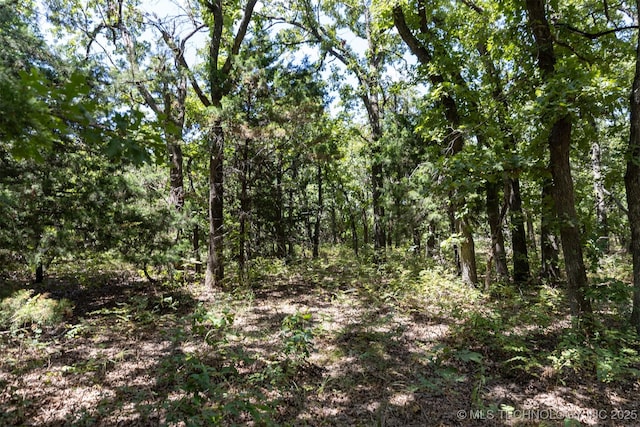 2 S 265th W Ave, Sand Springs, OK 74063 - photo 15