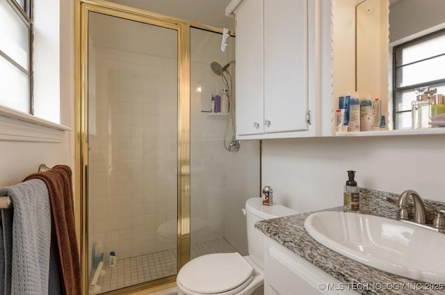 full bath featuring vanity, a shower stall, and toilet