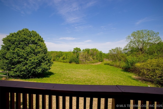 view of yard