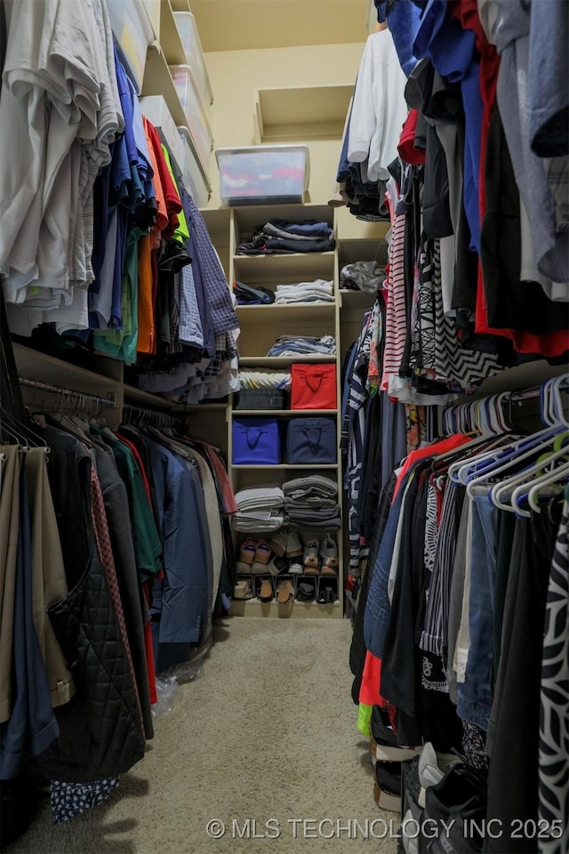 view of spacious closet
