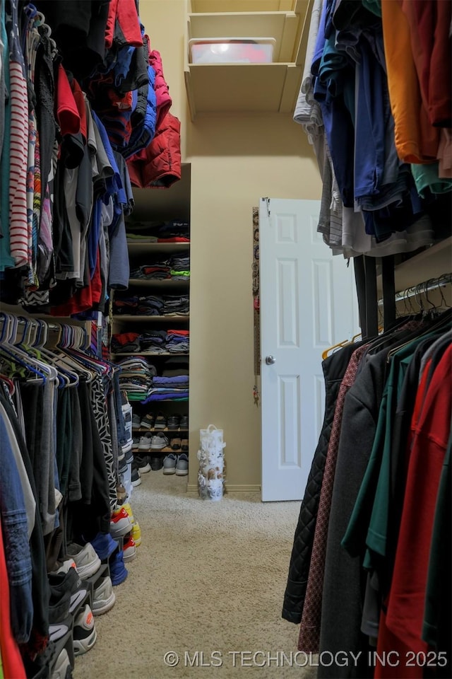 walk in closet featuring carpet