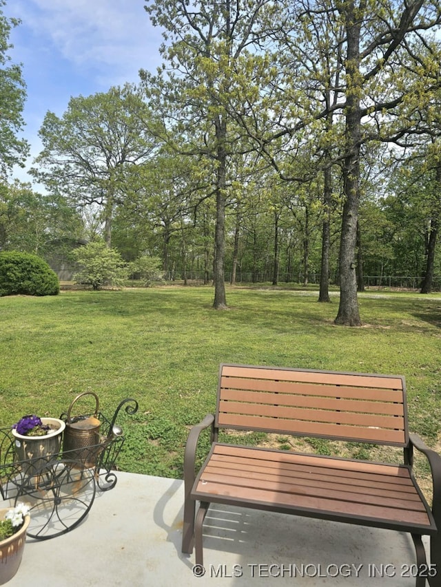 view of yard featuring a patio