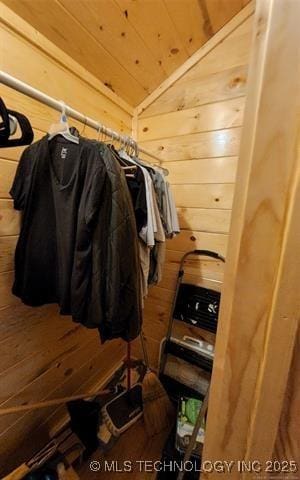 spacious closet featuring lofted ceiling