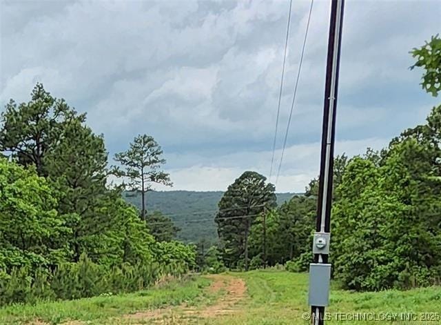 view of mountain feature