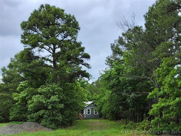 view of yard featuring a forest view
